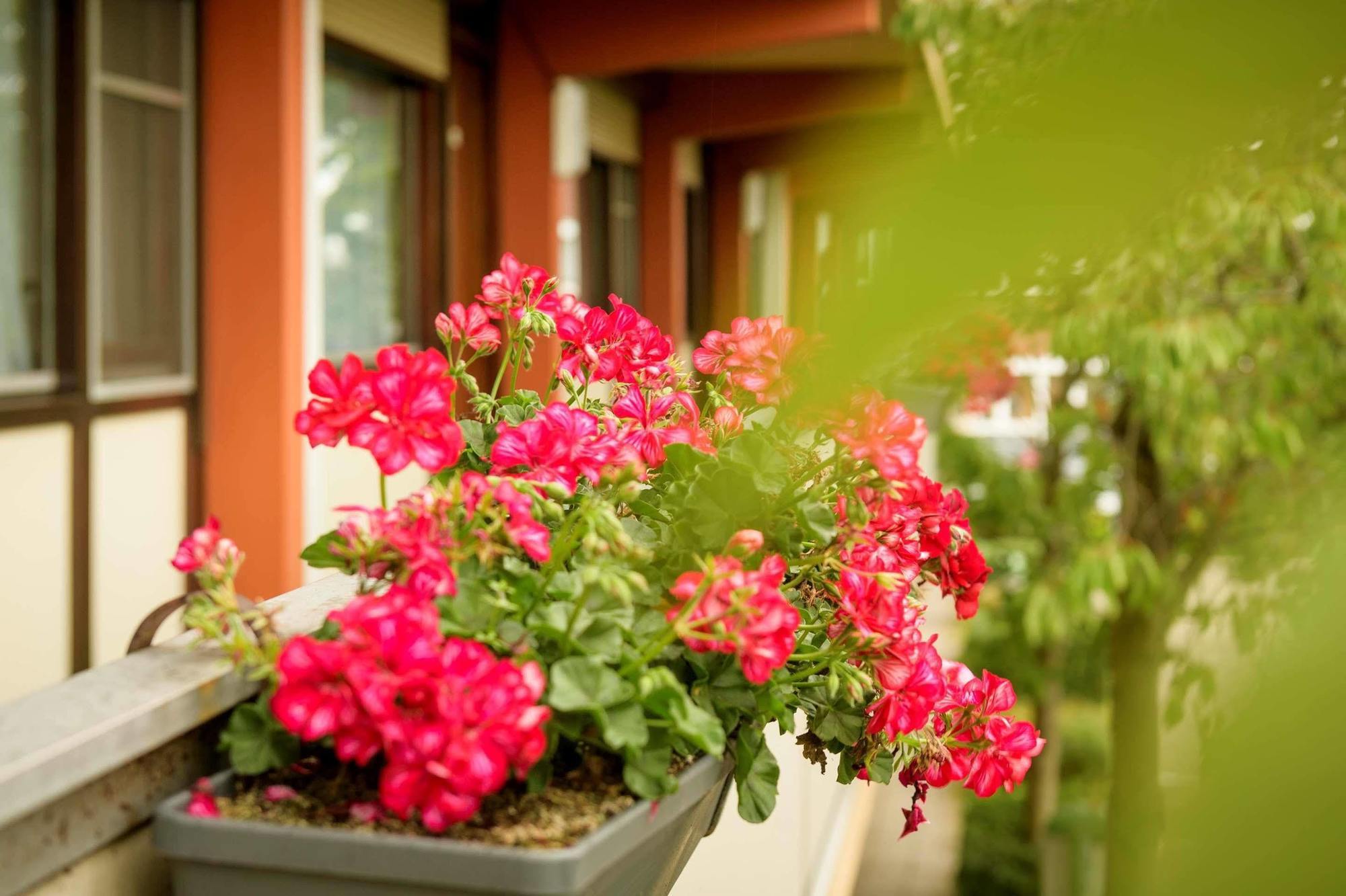 Campanile Hotel & Restaurant Leeuwarden Ngoại thất bức ảnh